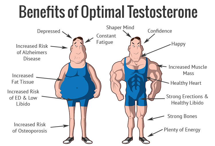 optimal testosterone usage