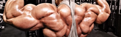 big muscles made by steroids