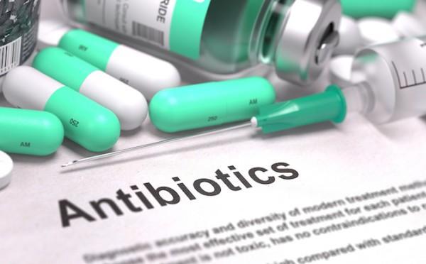 blog steroids and antibiotics