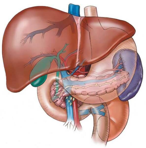 blog do anabolic steroids cause liver damage