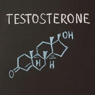 blog how to increase testosterone levels naturally