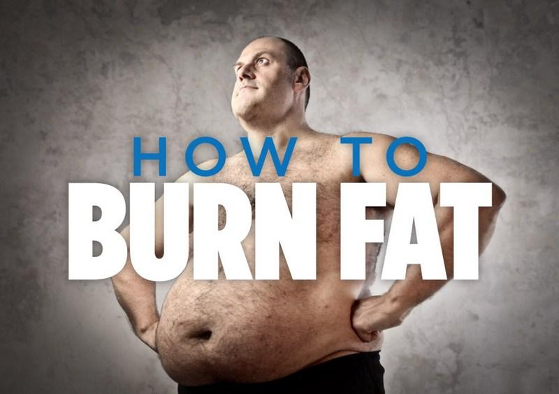 blog which steroids burn fat