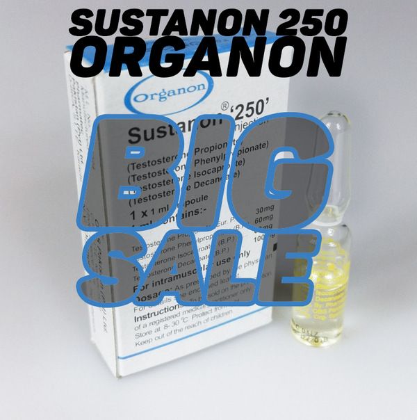 blog sustanon 250 organon pakistan sale discount