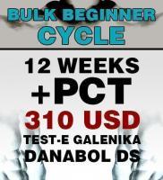 Bulk Cycle for Beginners