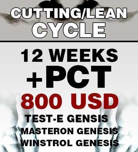 Cutting/Lean mass cycle no. 1