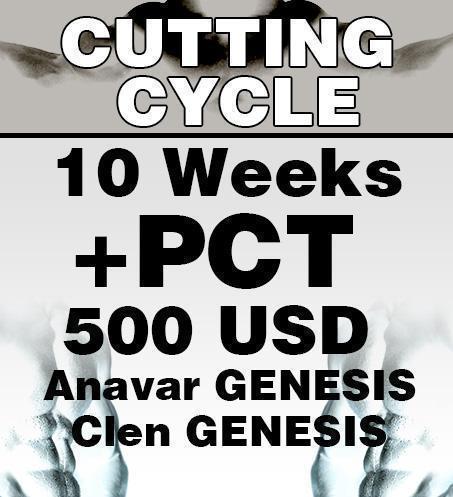 Cutting/Lean mass cycle no. 2