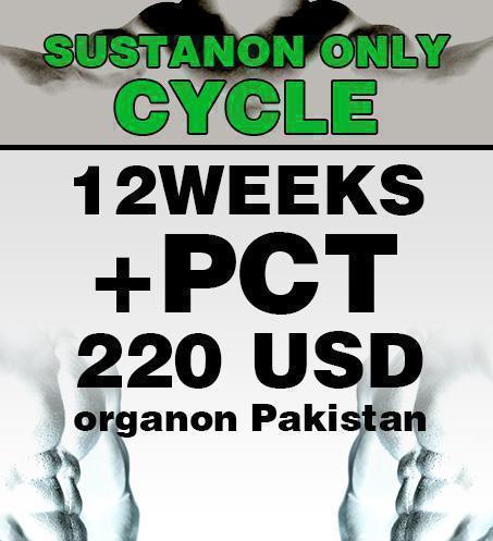Sustanon ONLY cycle