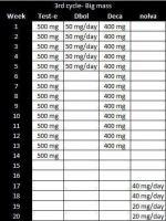 3rd Cycle No2