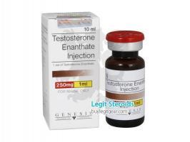 Testosterone Enanthate, Genesis