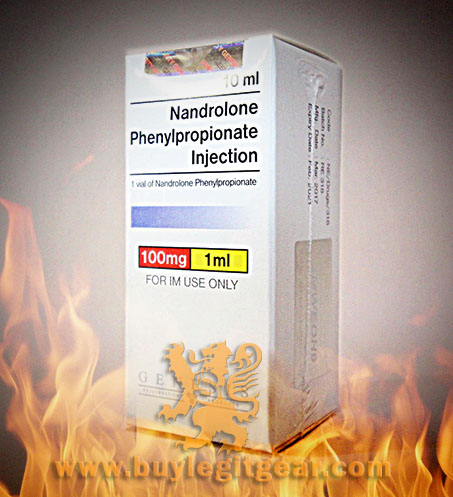 Nandrolone Phenyl-propionate, NPP, GENESIS