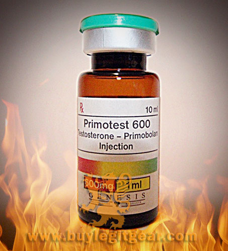 Primotest 600, Genesis (SOLD OUT)